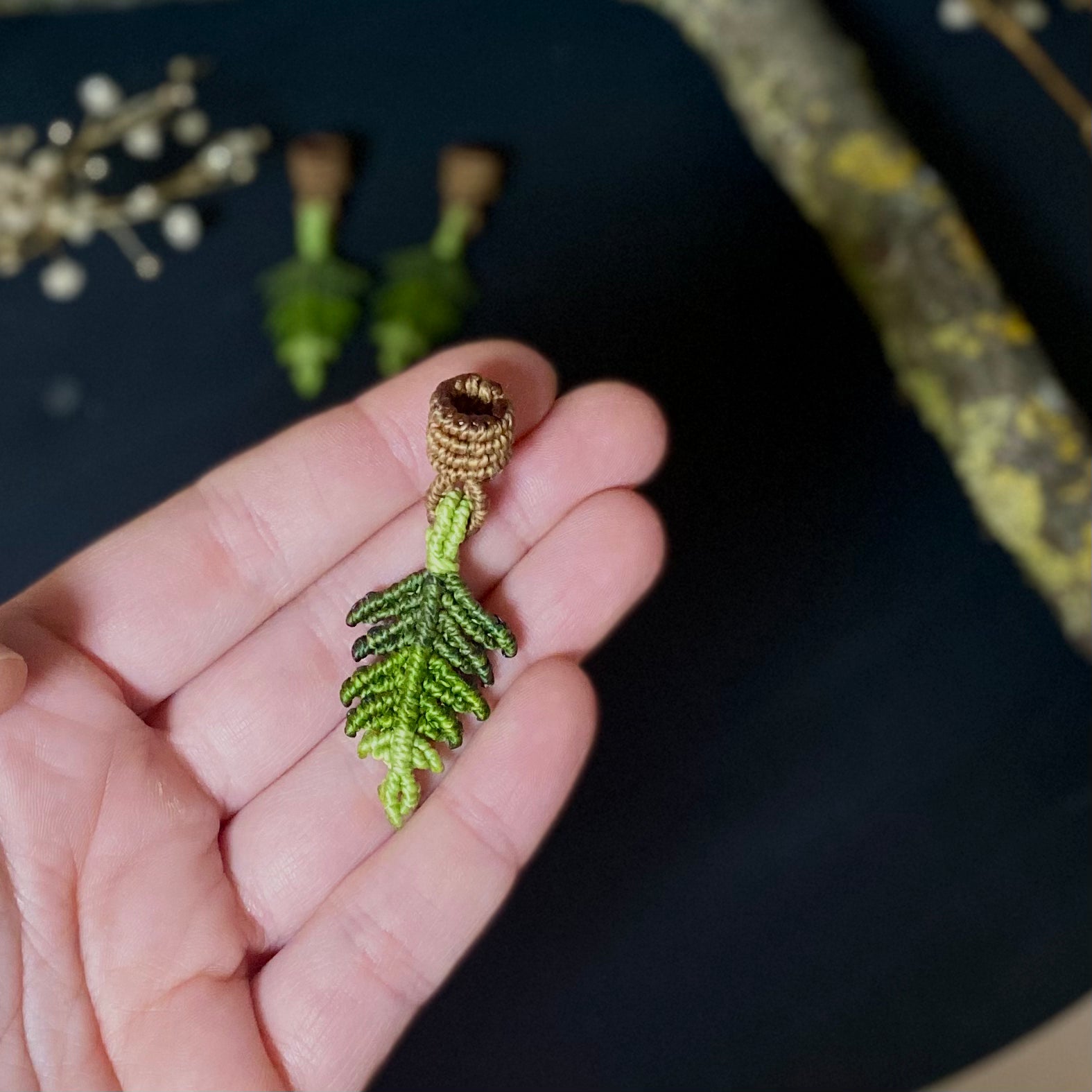 The Fern Essentials No.1