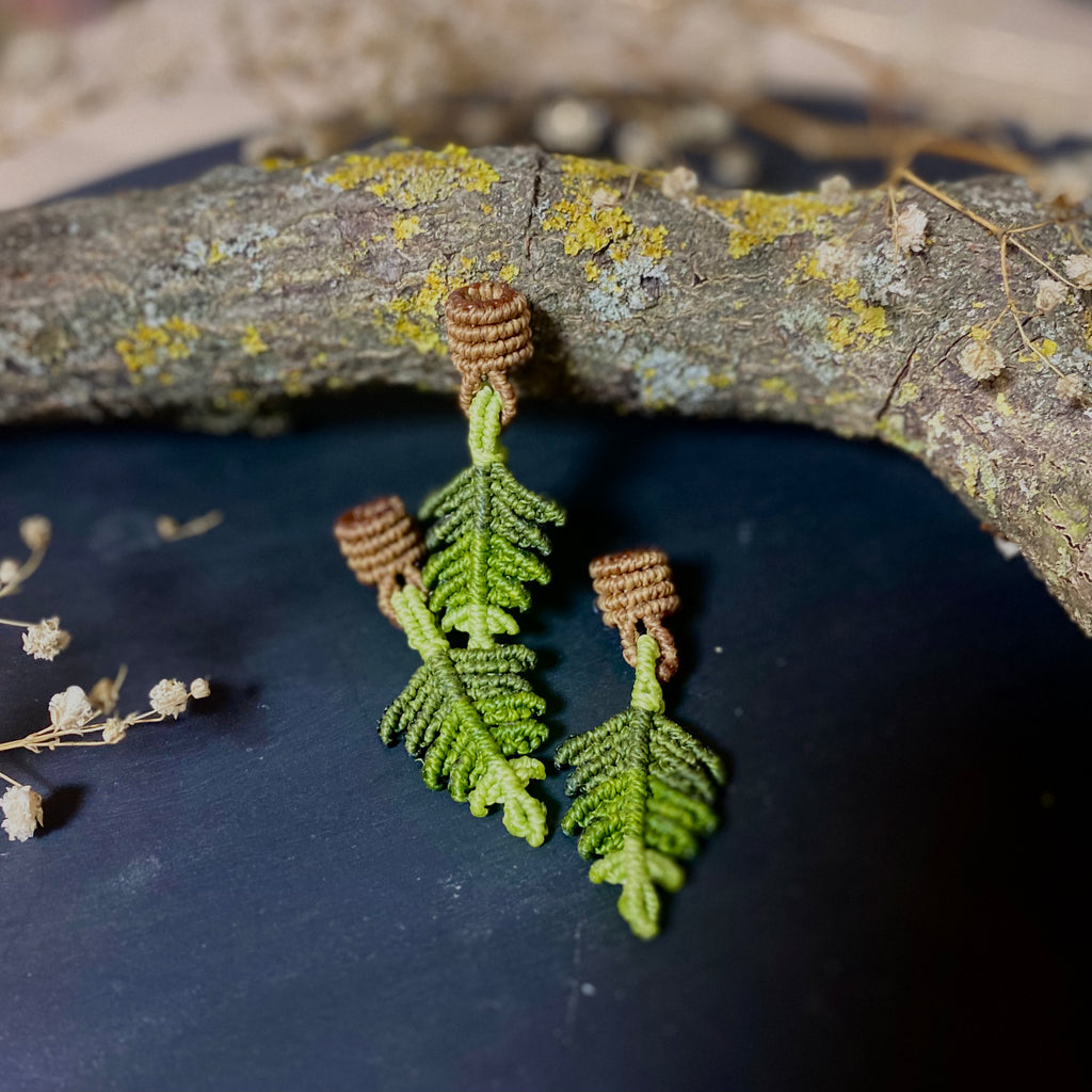 The Fern Essentials No.1