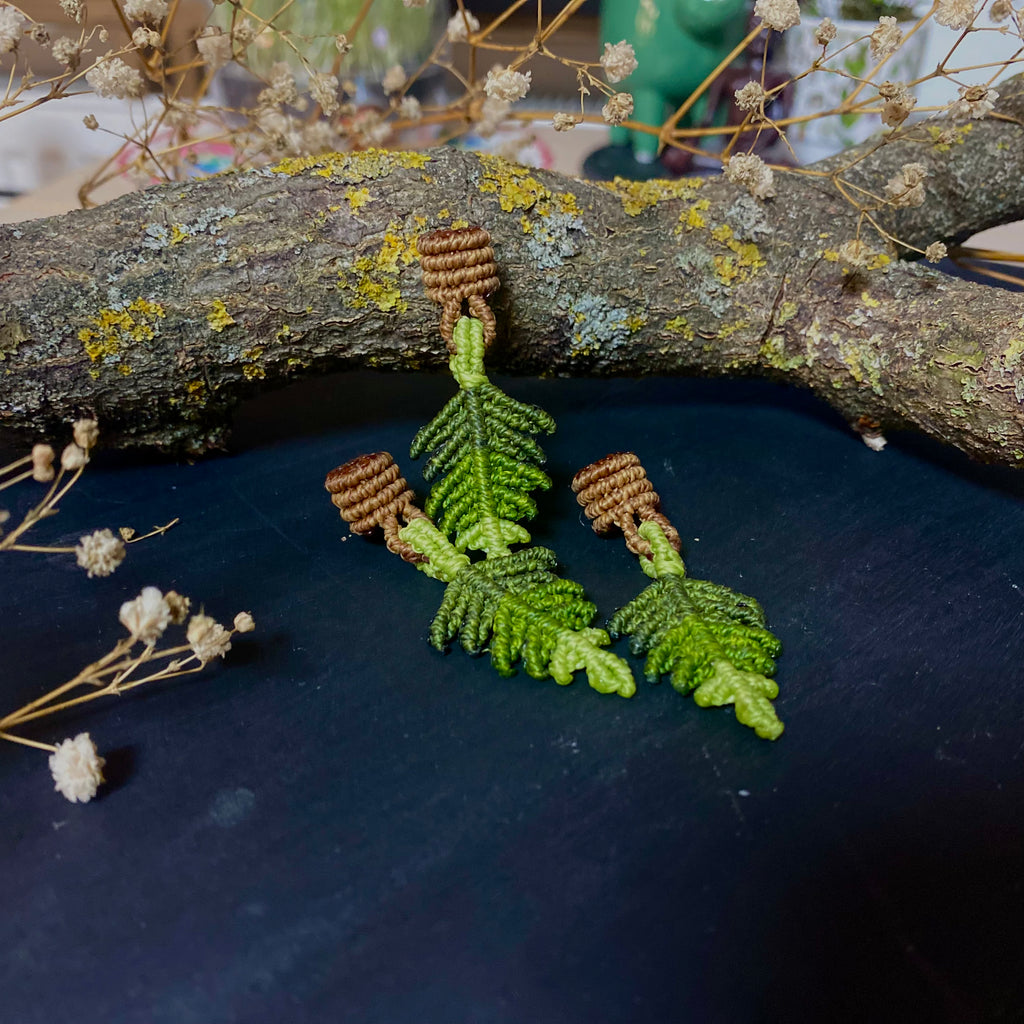 The Fern Essentials No.1