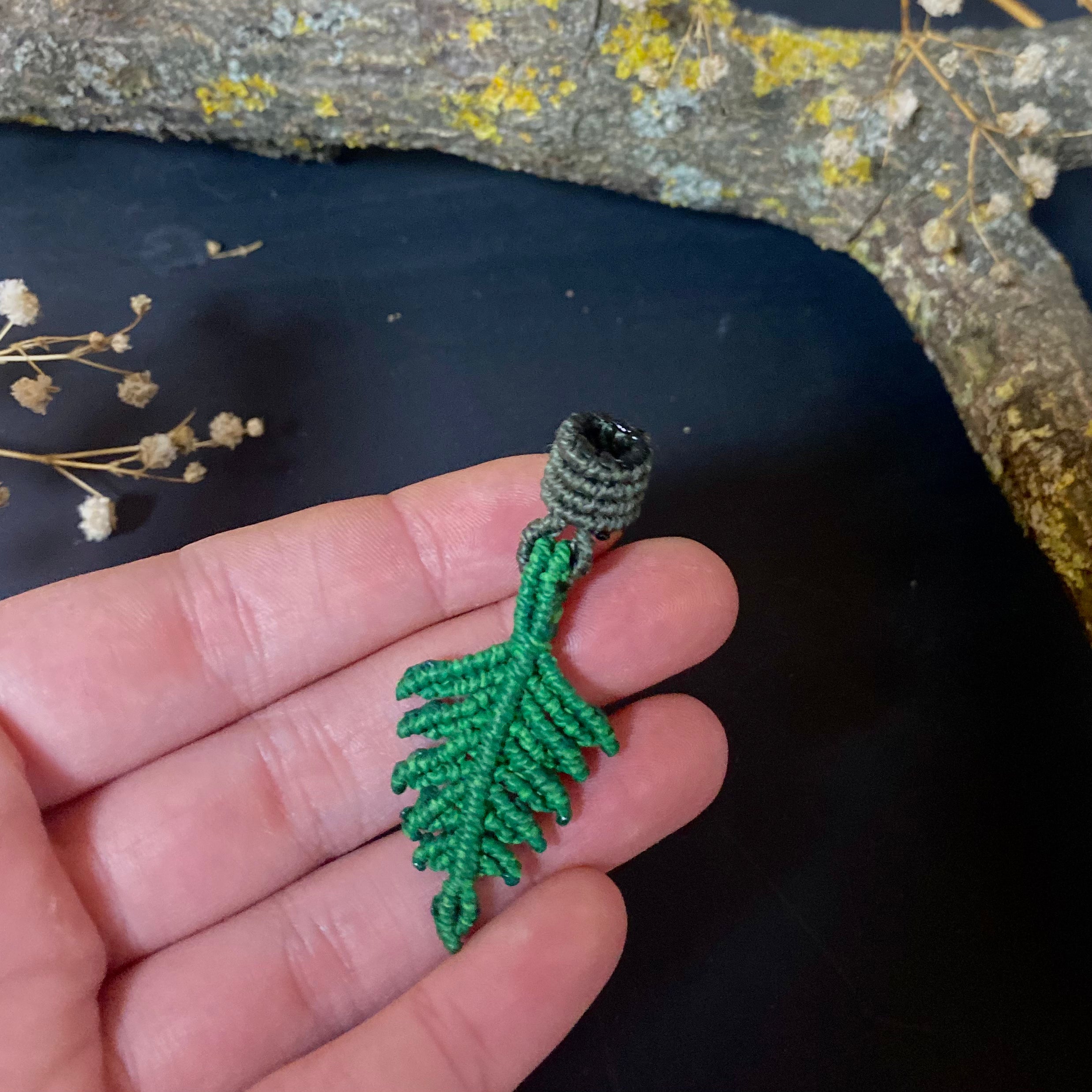 The Fern Essentials No.2